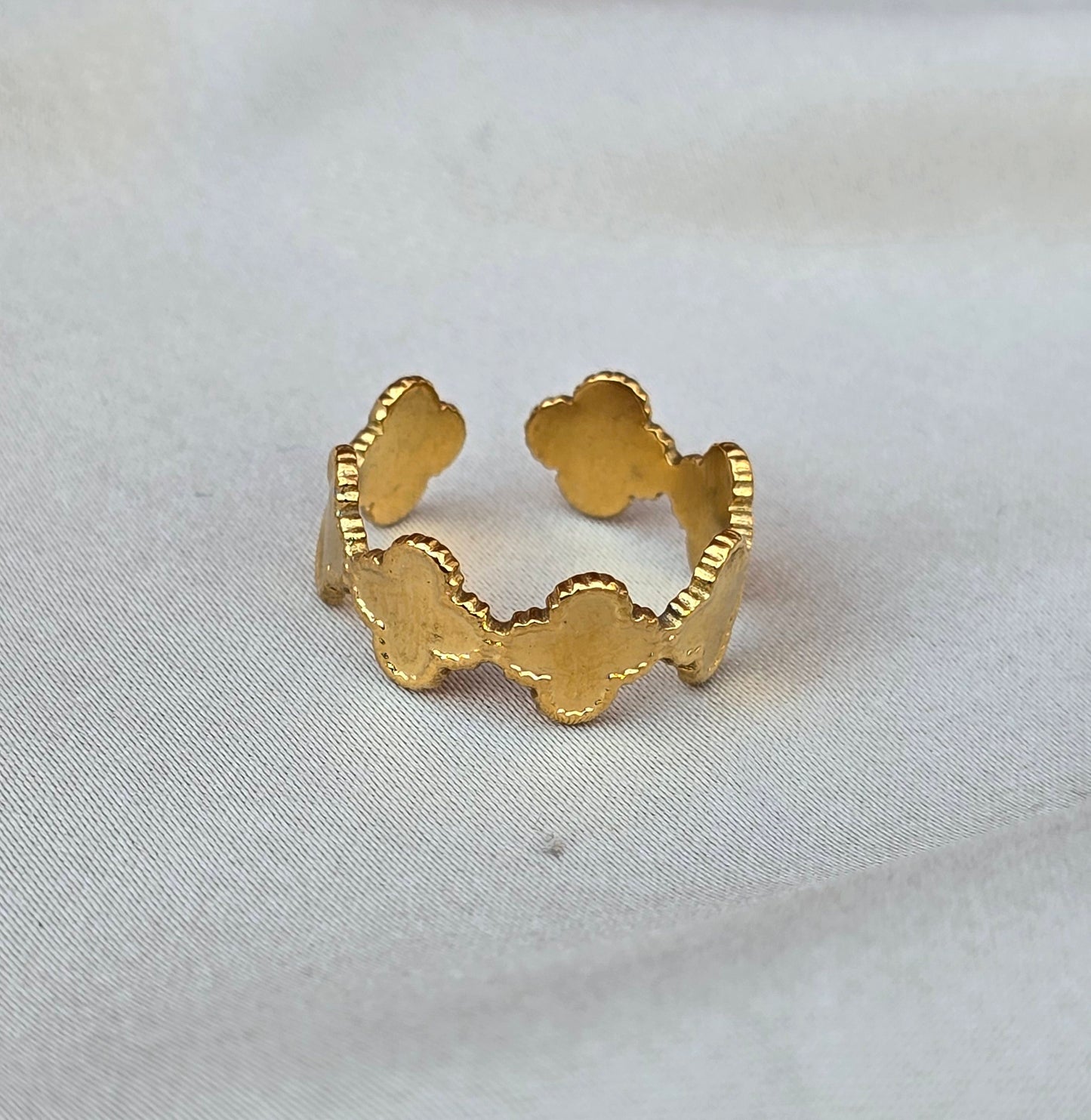 Anillo