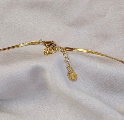 COLLAR