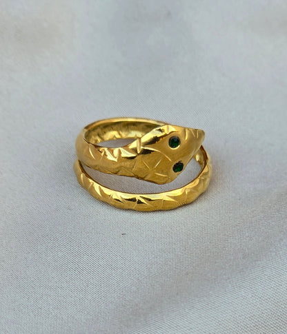 Anillo