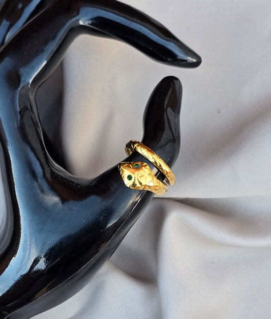 Anillo