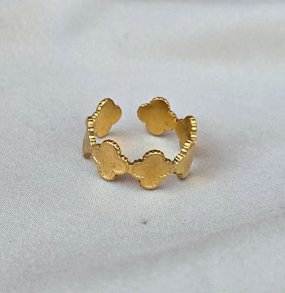 Anillo