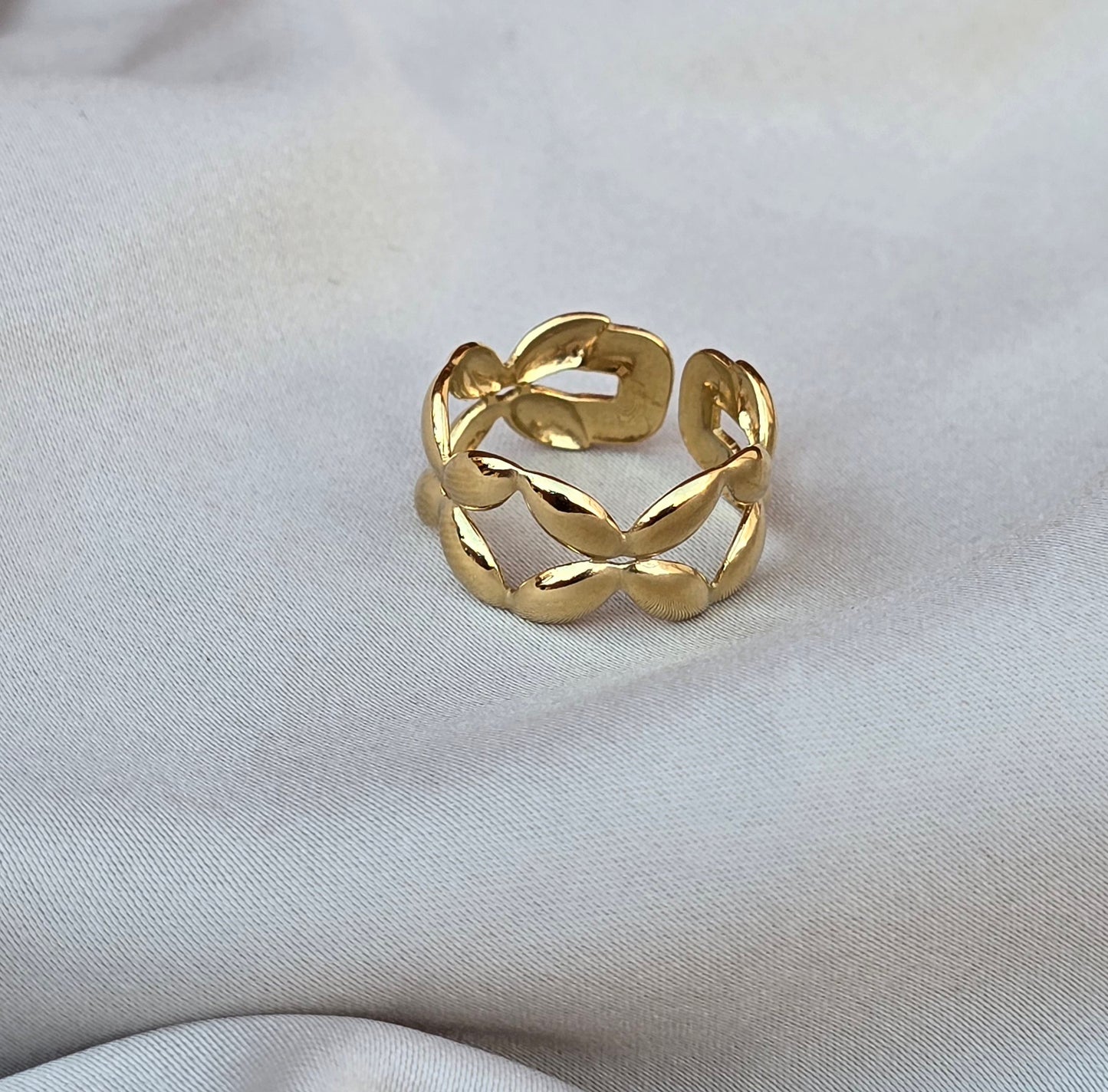 Anillo