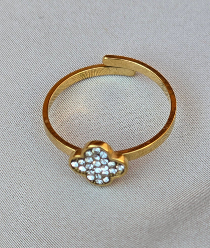 Anillo