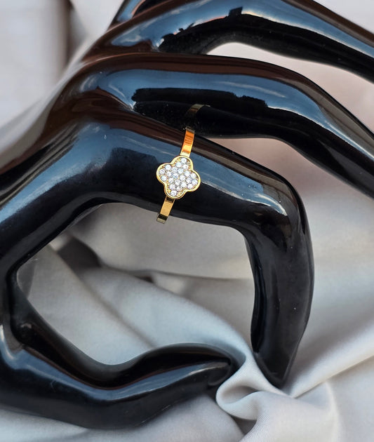 Anillo